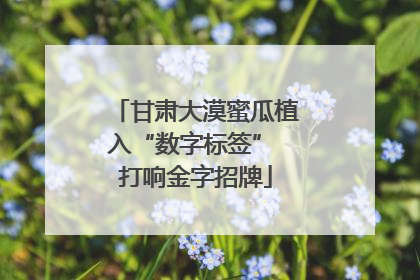 甘肃大漠蜜瓜植入“数字标签” 打响金字招牌