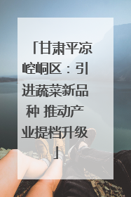甘肃平凉崆峒区：引进蔬菜新品种 推动产业提档升级