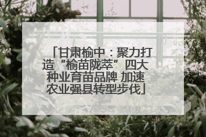 甘肃榆中：聚力打造“榆苗陇萃”四大种业育苗品牌 加速农业强县转型步伐