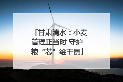 甘肃清水：小麦管理正当时 守护粮“芯”绘丰景