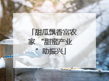 甜瓜飘香富农家 “甜蜜产业”助振兴