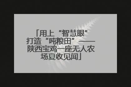 用上“智慧眼” 打造“吨粮田”——陕西宝鸡一座无人农场夏收见闻