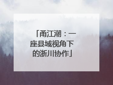 甬江潮：一座县域视角下的浙川协作