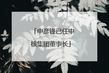 申彦锋已任中核集团董事长
