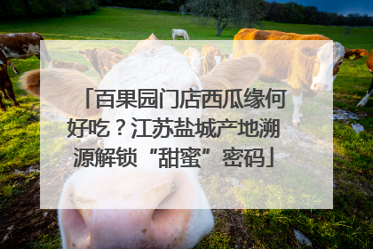 百果园门店西瓜缘何好吃？江苏盐城产地溯源解锁“甜蜜”密码