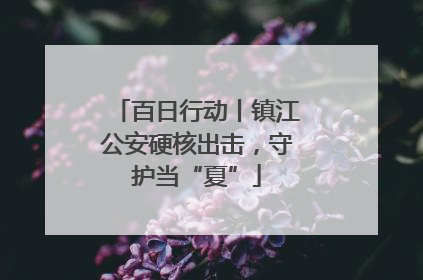 百日行动丨镇江公安硬核出击，守护当“夏”