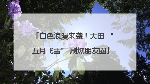 白色浪漫来袭！大田 “五月飞雪” 刷爆朋友圈