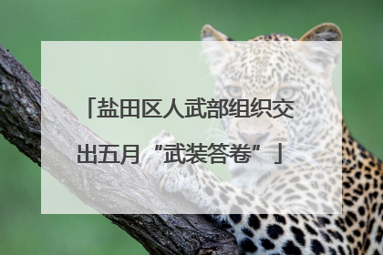 盐田区人武部组织交出五月“武装答卷”