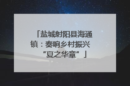 盐城射阳县海通镇：奏响乡村振兴“夏之华章”