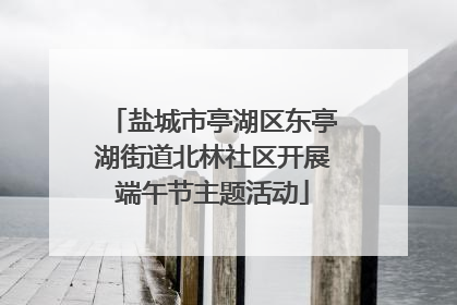 盐城市亭湖区东亭湖街道北林社区开展端午节主题活动