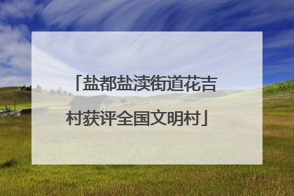 盐都盐渎街道花吉村获评全国文明村