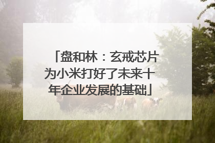 盘和林：玄戒芯片为小米打好了未来十年企业发展的基础