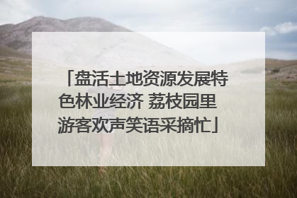 盘活土地资源发展特色林业经济 荔枝园里游客欢声笑语采摘忙
