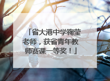 省大港中学鞠莹老师，获省青年教师赛课一等奖！
