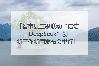 省市县三级联动“信访+DeepSeek”创新工作新闻发布会举行