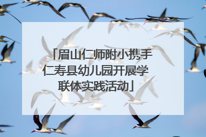 眉山仁师附小携手仁寿县幼儿园开展学联体实践活动