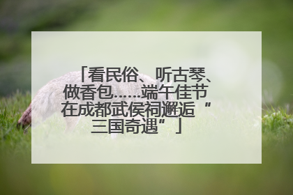 看民俗、听古琴、做香包……端午佳节在成都武侯祠邂逅“三国奇遇”