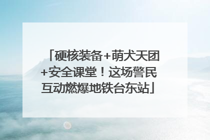 硬核装备+萌犬天团+安全课堂！这场警民互动燃爆地铁台东站