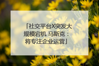 社交平台X突发大规模宕机 马斯克：将专注企业运营