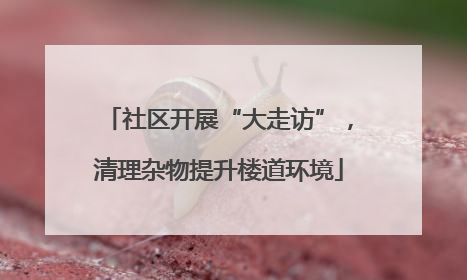 社区开展“大走访”，清理杂物提升楼道环境