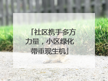 社区携手多方力量，小区绿化带重现生机