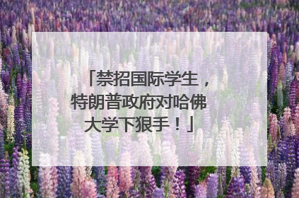 禁招国际学生，特朗普政府对哈佛大学下狠手！