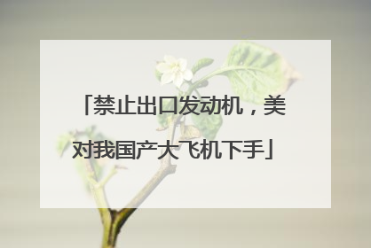 禁止出口发动机，美对我国产大飞机下手