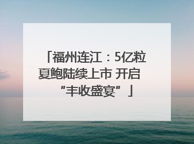 福州连江：5亿粒夏鲍陆续上市 开启“丰收盛宴”