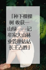 种下棵棵树 收获一山绿——记牟家大山林业管理站站长王占胜