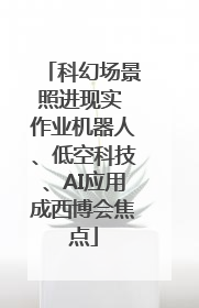 科幻场景照进现实 作业机器人、低空科技、AI应用成西博会焦点