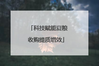 科技赋能夏粮收购提质增效