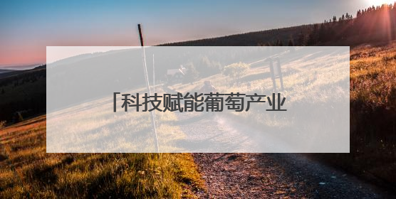 科技赋能葡萄产业 精准服务助农增收——河南省葡萄产业科技特派员服务团太康县科技服务纪实