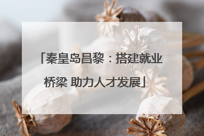 秦皇岛昌黎：搭建就业桥梁 助力人才发展