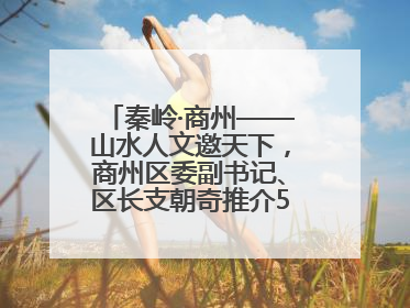 秦岭·商州——山水人文邀天下，商州区委副书记、区长支朝奇推介5个重点招商项目
