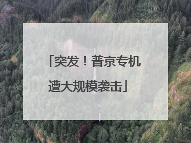 突发！普京专机遭大规模袭击