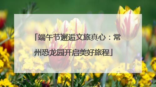 端午节邂逅文旅真心：常州恐龙园开启美好旅程