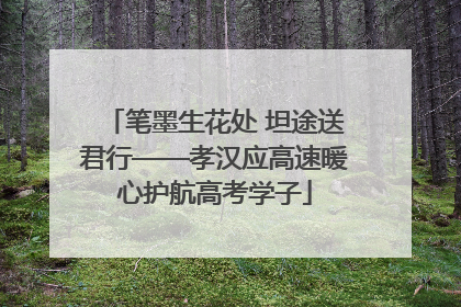 笔墨生花处 坦途送君行——孝汉应高速暖心护航高考学子