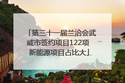 第三十一届兰洽会武威市签约项目122项 新能源项目占比大