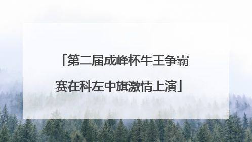 第二届成峰杯牛王争霸赛在科左中旗激情上演