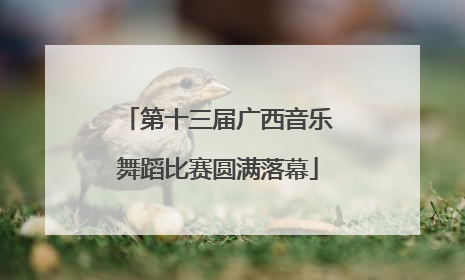 第十三届广西音乐舞蹈比赛圆满落幕