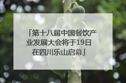 第十八届中国餐饮产业发展大会将于19日在四川乐山启幕