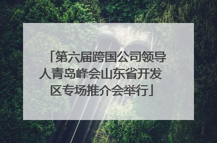 第六届跨国公司领导人青岛峰会山东省开发区专场推介会举行