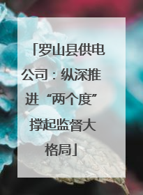 罗山县供电公司：纵深推进“两个度” 撑起监督大格局