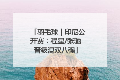 羽毛球｜印尼公开赛：程星/张驰晋级混双八强
