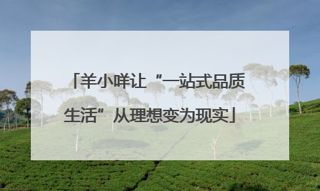 羊小咩让“一站式品质生活”从理想变为现实