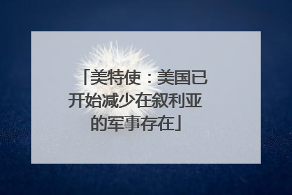 美特使：美国已开始减少在叙利亚的军事存在