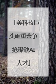 美科技巨头砸重金争抢稀缺AI人才