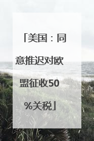 美国：同意推迟对欧盟征收50%关税