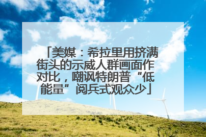 美媒：希拉里用挤满街头的示威人群画面作对比，嘲讽特朗普“低能量”阅兵式观众少