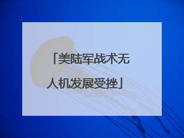 美陆军战术无人机发展受挫